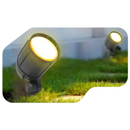 Lights